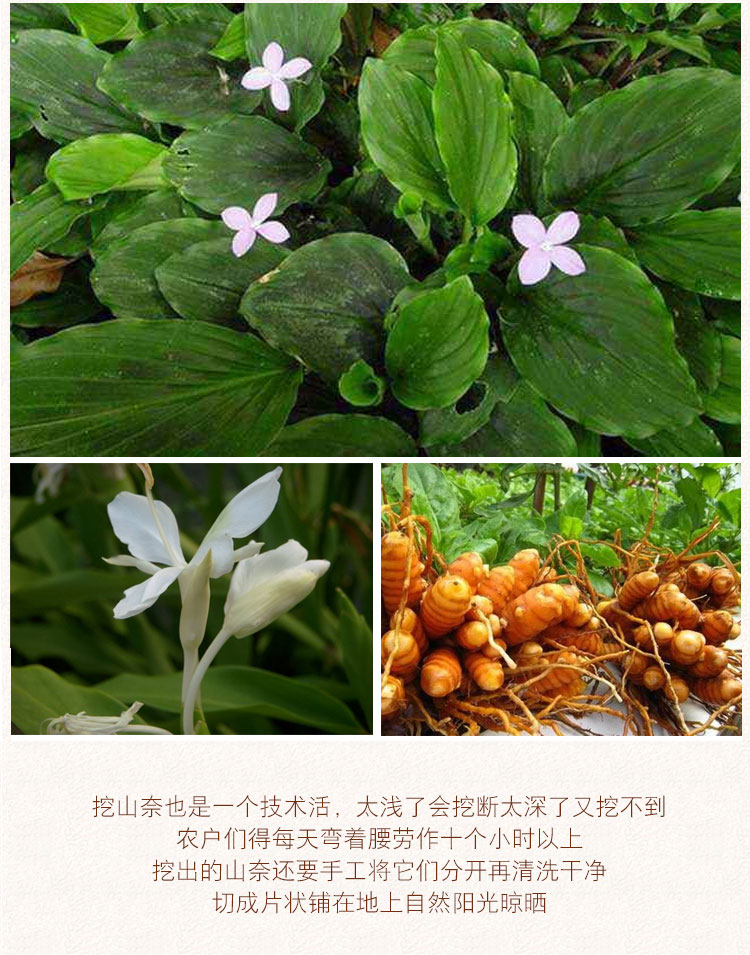 爱蜀味无硫山奈沙姜精选香料大料三奈卤菜炖肉调料70g