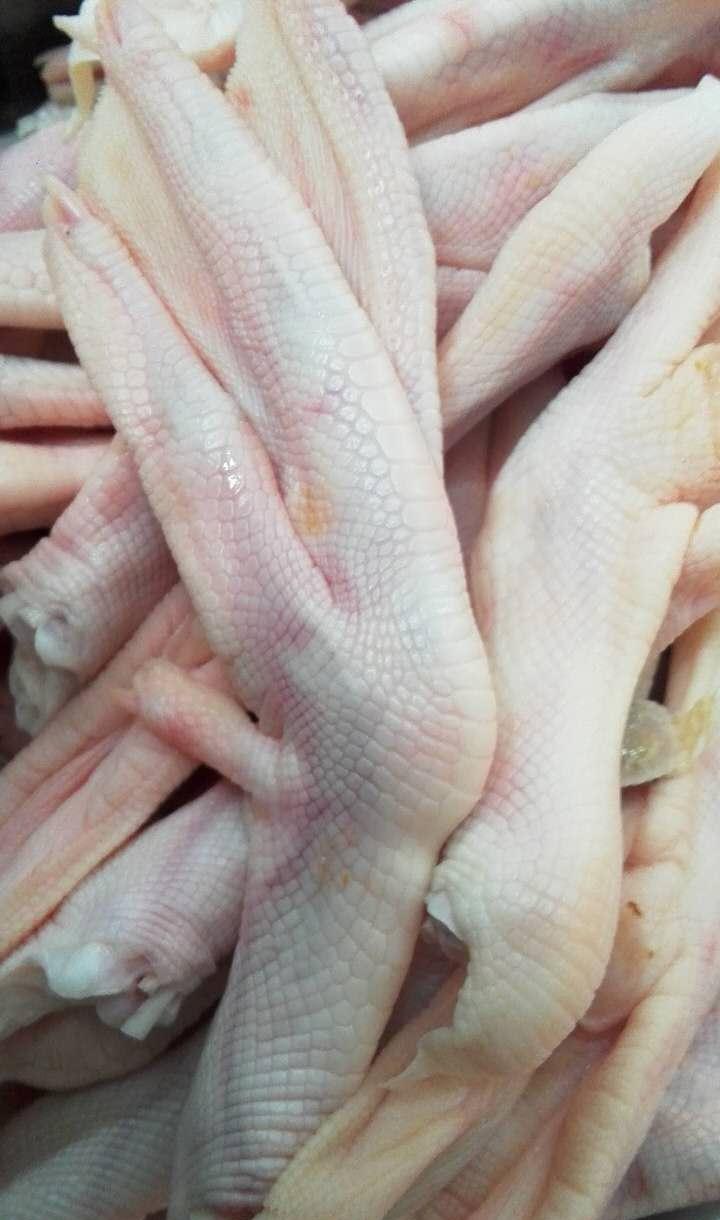 生鸭掌 带骨 1000g 新鲜 卤味火锅 小吃食材鸭爪鸭肉生鲜 xh