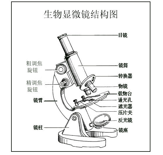 显微镜的部分名称图图片