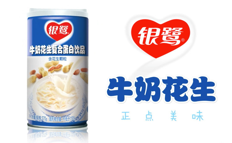 银鹭牛奶花生复合蛋白饮品370g12