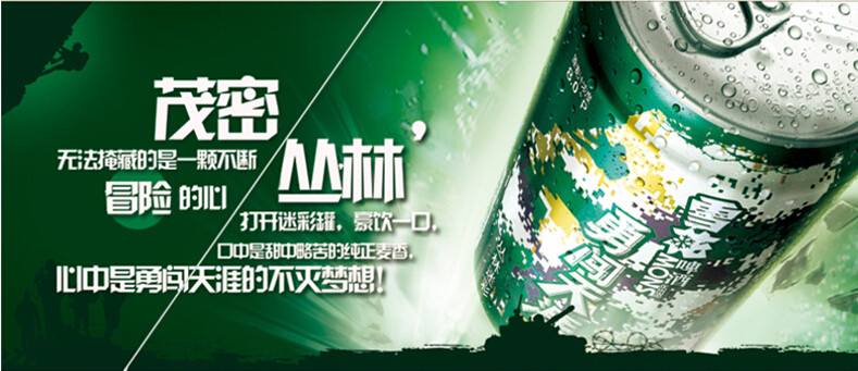 雪花啤酒勇闯天涯迷彩330ml24听整箱装