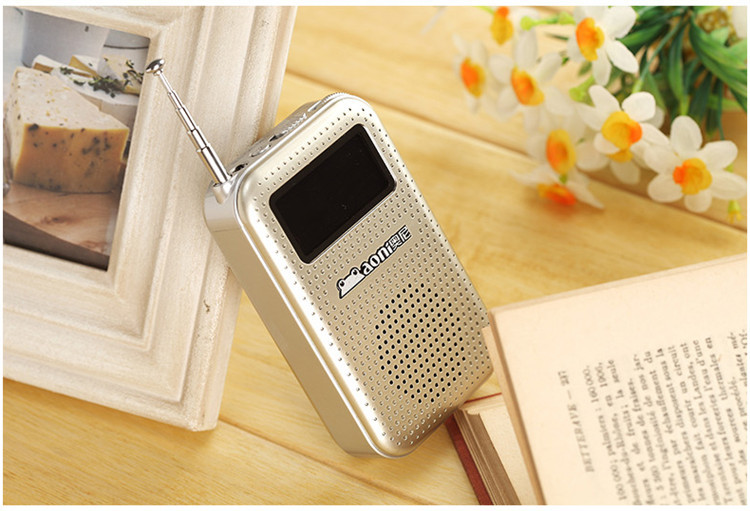 奥尼(aoni)s480插卡音箱迷你小音响 老年户外随身听 mp3收音机 老人