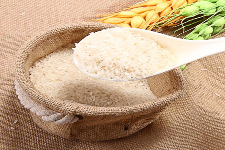 白马 特级马坝油粘米 5kg/袋