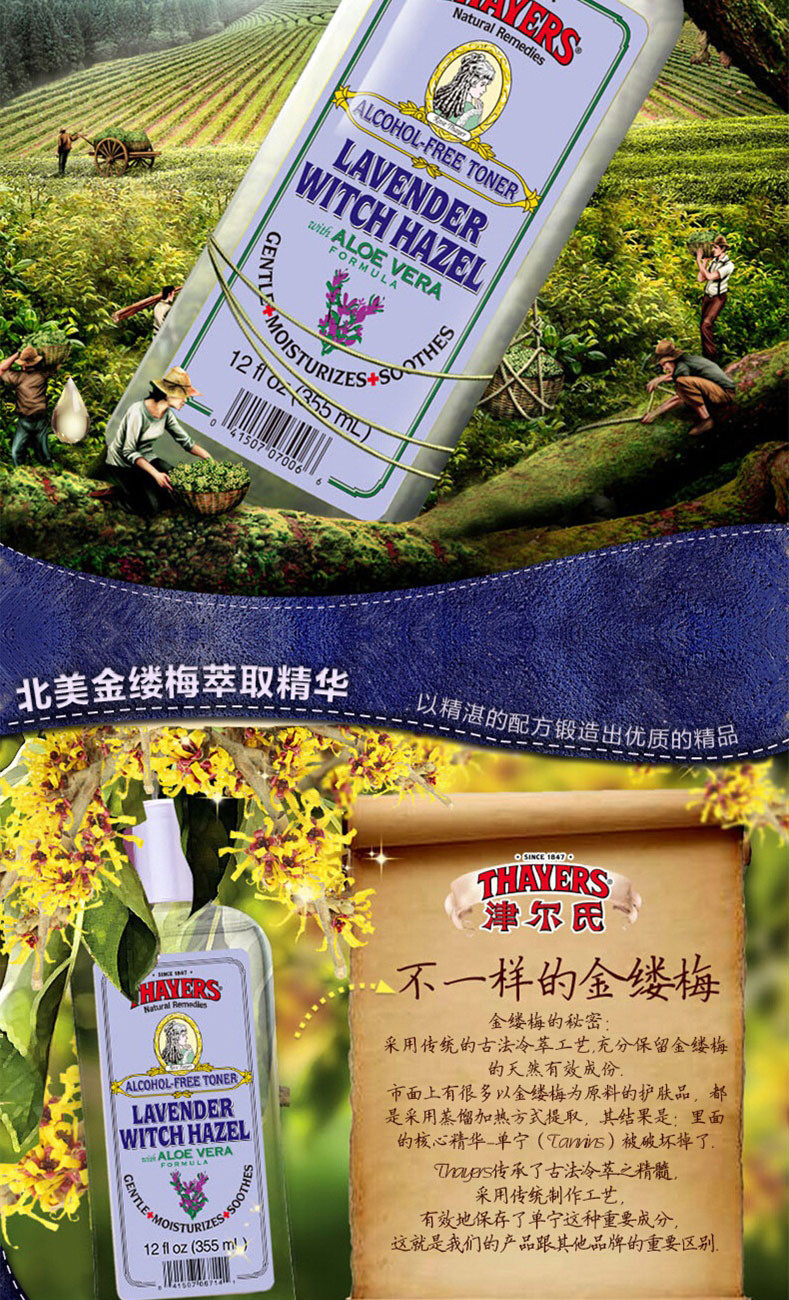 thayers津尔氏金缕梅薰衣草爽肤水355ml