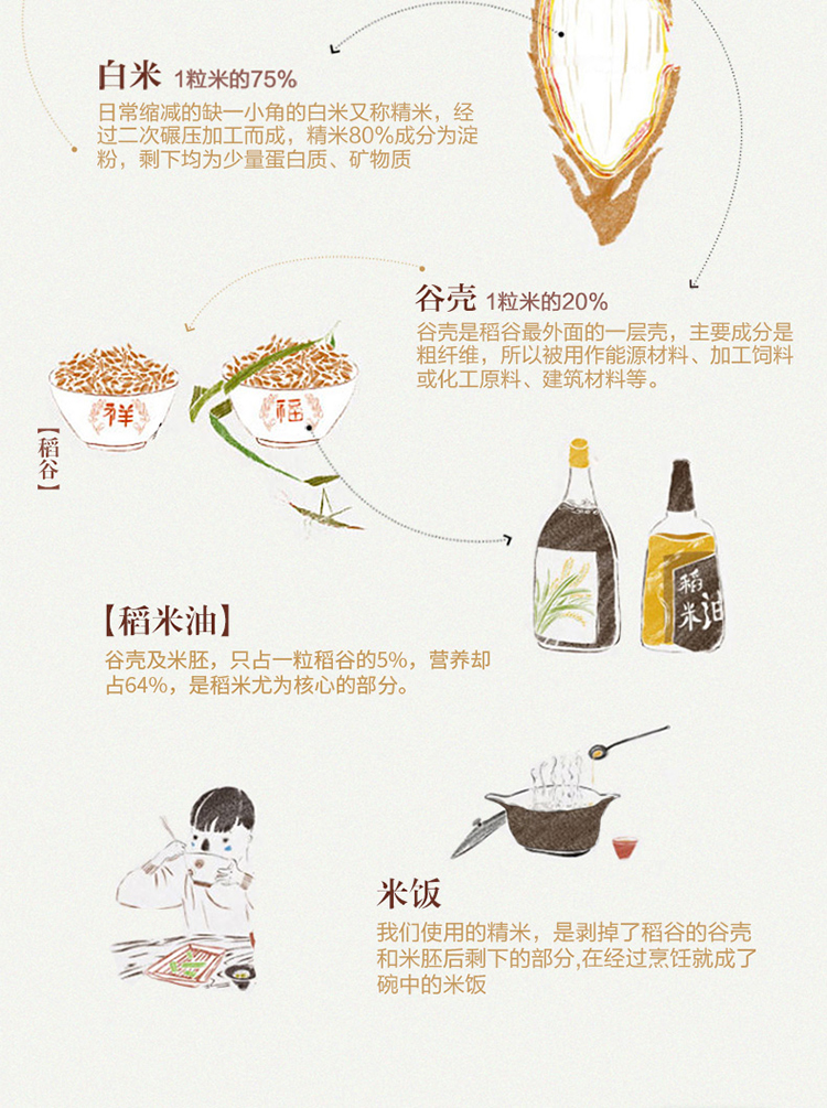 金龙鱼双一万稻米油5L