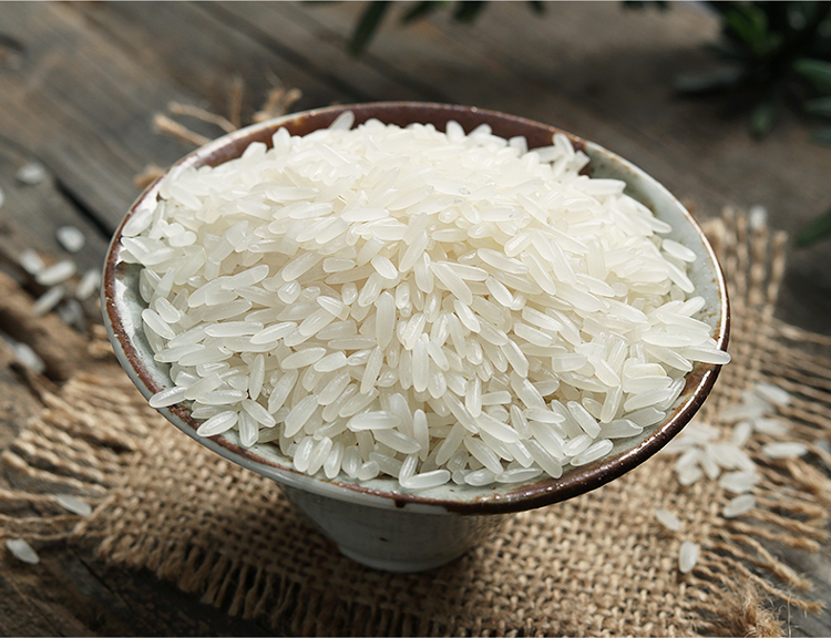 万年贡红运万年贡米5kg油粘丝苗米江西特产大米10斤长粒香米软籼米