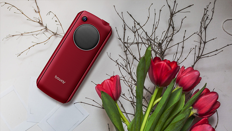 邦华boway老人手机大字体大音量老年手机直板按键功能机长待机移动