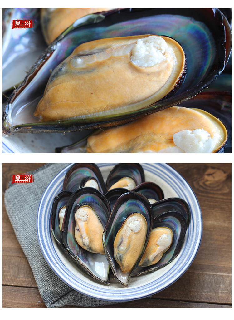 【遇上鲜贝类】 【5斤起拍】遇上鲜舟山海鲜鲜活