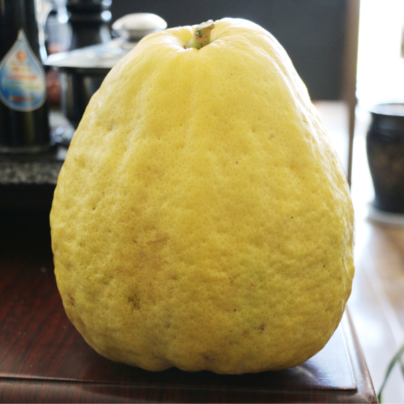 博多客香橼果1500g云南保