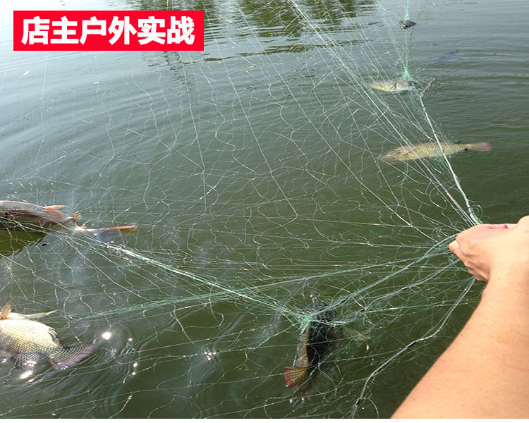 漁網粘網絲網三層沉網單層浮網掛子魚網鯽魚鰱魚綠色絲浮網