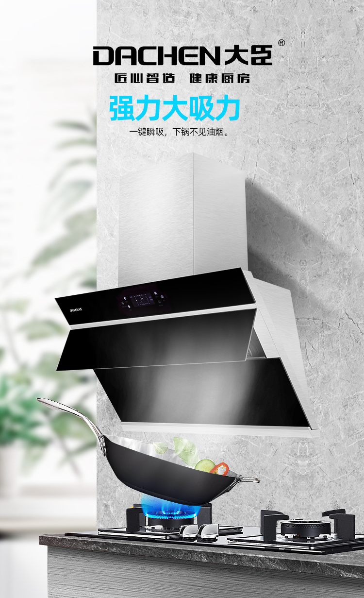 大臣油烟机cxw200x36h2l