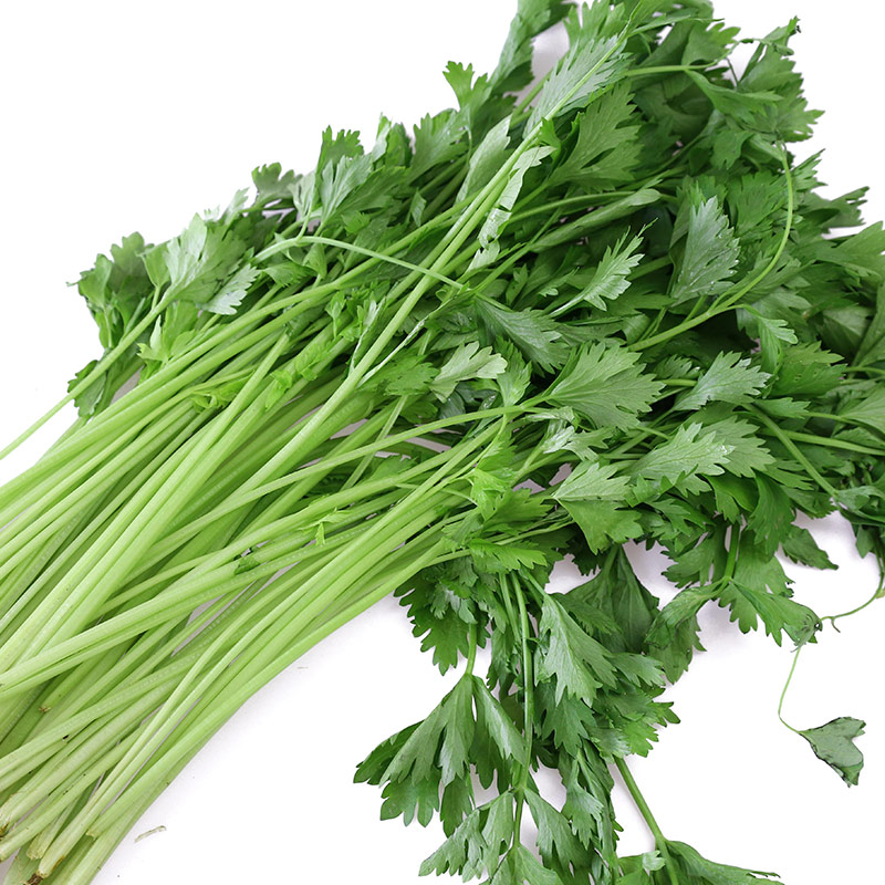 香芹500g芹菜新鲜蔬菜as