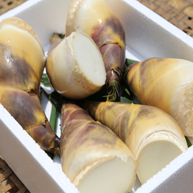 5kg 竹笋 新鲜 cf【价格 图片 品牌 报价】-苏宁易购七果果旗舰店