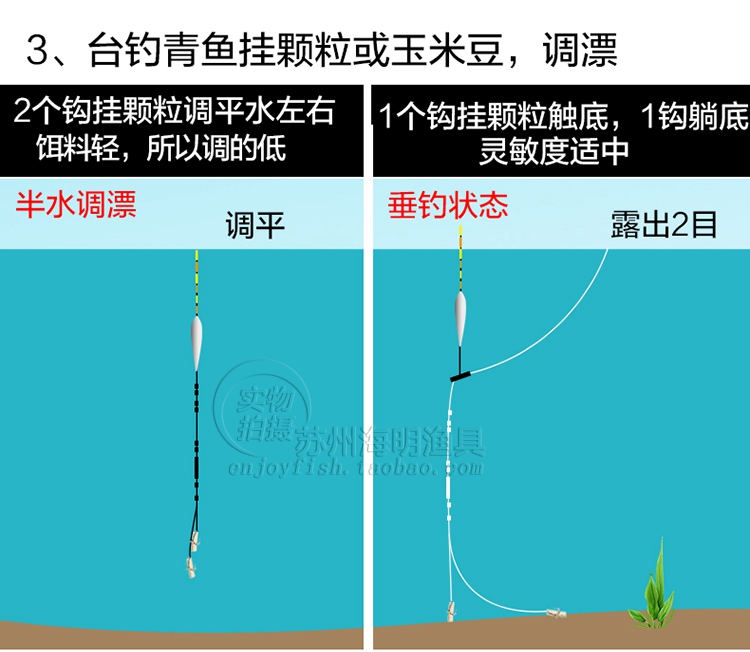 青鱼调漂方法图解图片