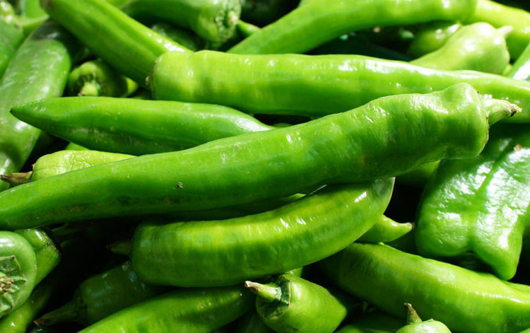 农聚源杭椒1斤青杭椒新鲜蔬菜as