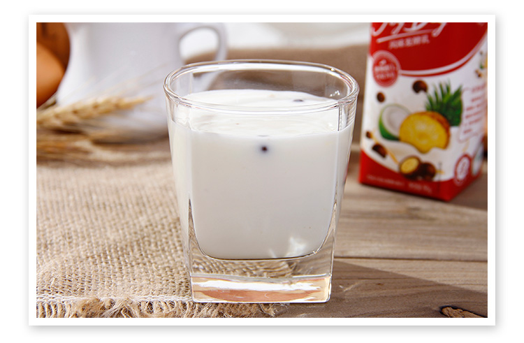 伊利joyday巧克力豆菠萝椰子风味发酵乳酸奶190g瓶