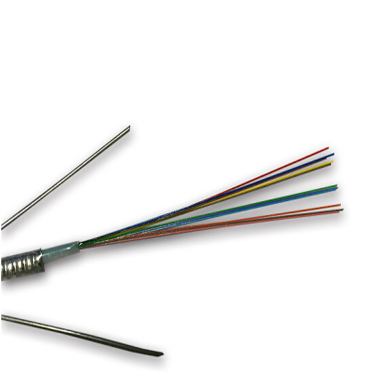 辉宏时代(huihongtimes) 室外千兆多模铠装光缆 国标光纤线缆 12芯