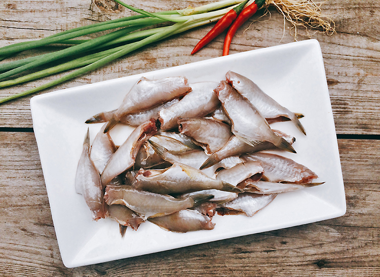 新鲜马面鱼 1斤 6个左右 去头 鱼肉 扒皮鱼 耗儿鱼深海鱼