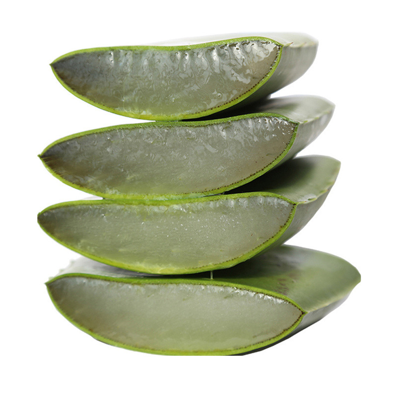 超级新品 农聚源 芦荟2片 单重约1斤 叶片 新鲜蔬菜 产发qq