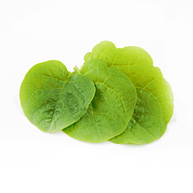 紫角叶500g新鲜蔬菜as