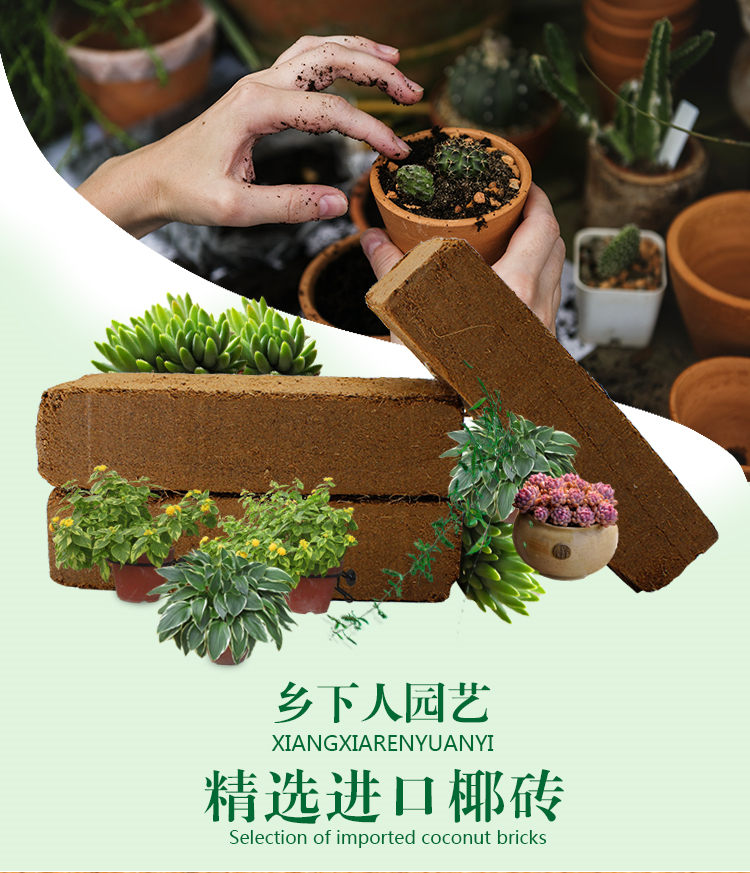 有机大块椰砖椰土种花营养土椰壳砖椰糠砖养花肥料花土多肉种植土