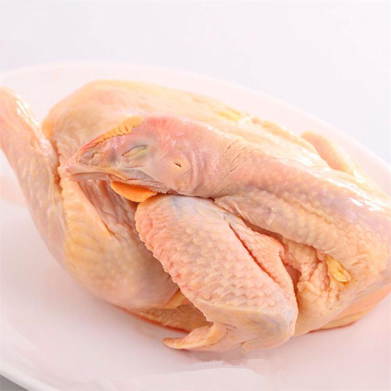 农聚源雪山母鸡1只整鸡约25斤土鸡草鸡产发qq