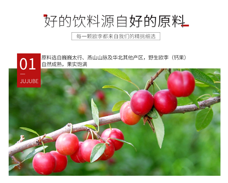 蓝猫补钙饮料原味果味饮料果蔬汁无蔗糖维生素功能饮料野生欧李钙果汁