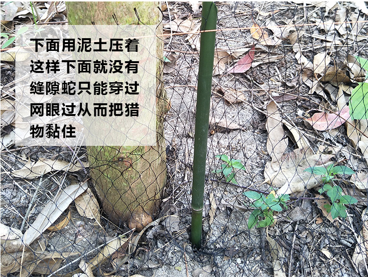 鼎立(dingli) 蛇网捕蛇网防蛇网尼龙线蛇网户外尼龙网蛇地网黑色尼龙