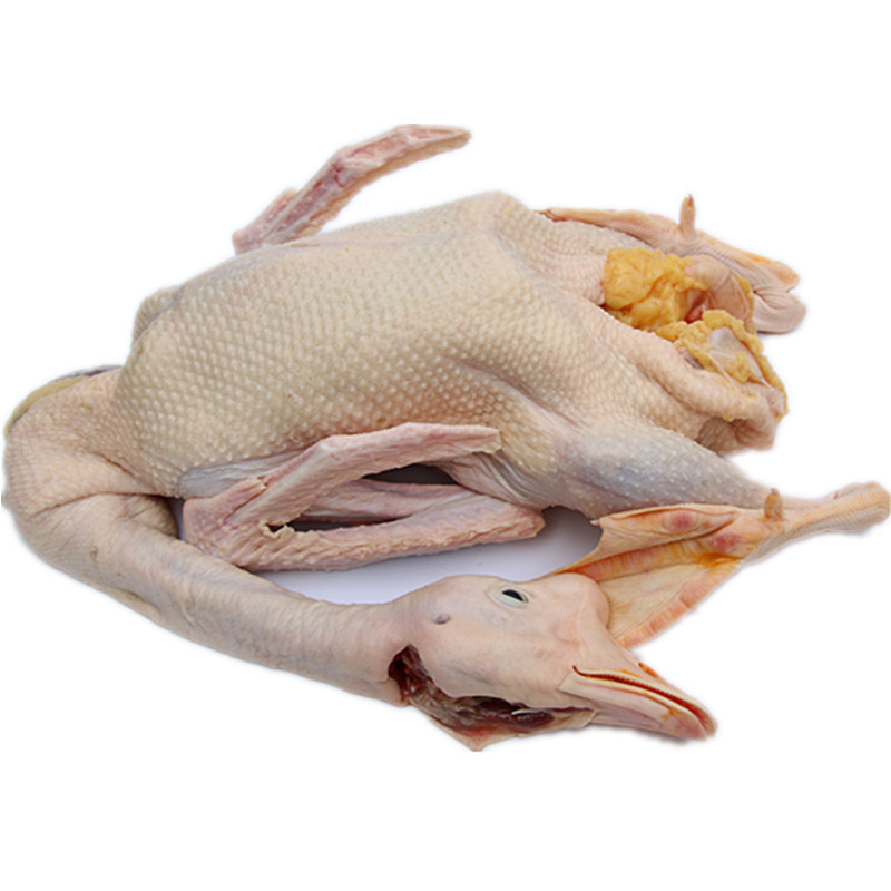 新鲜大白鹅 鹅肉 2年老鹅 农家土鹅 草鹅大鹅 农家散养 杀好净重约6.