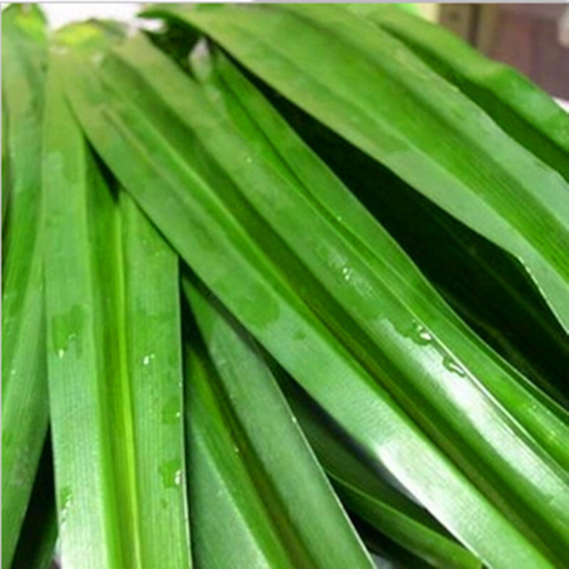 香兰叶500g 斑兰叶 甲抛叶 泰国香料 新鲜蔬菜 产发