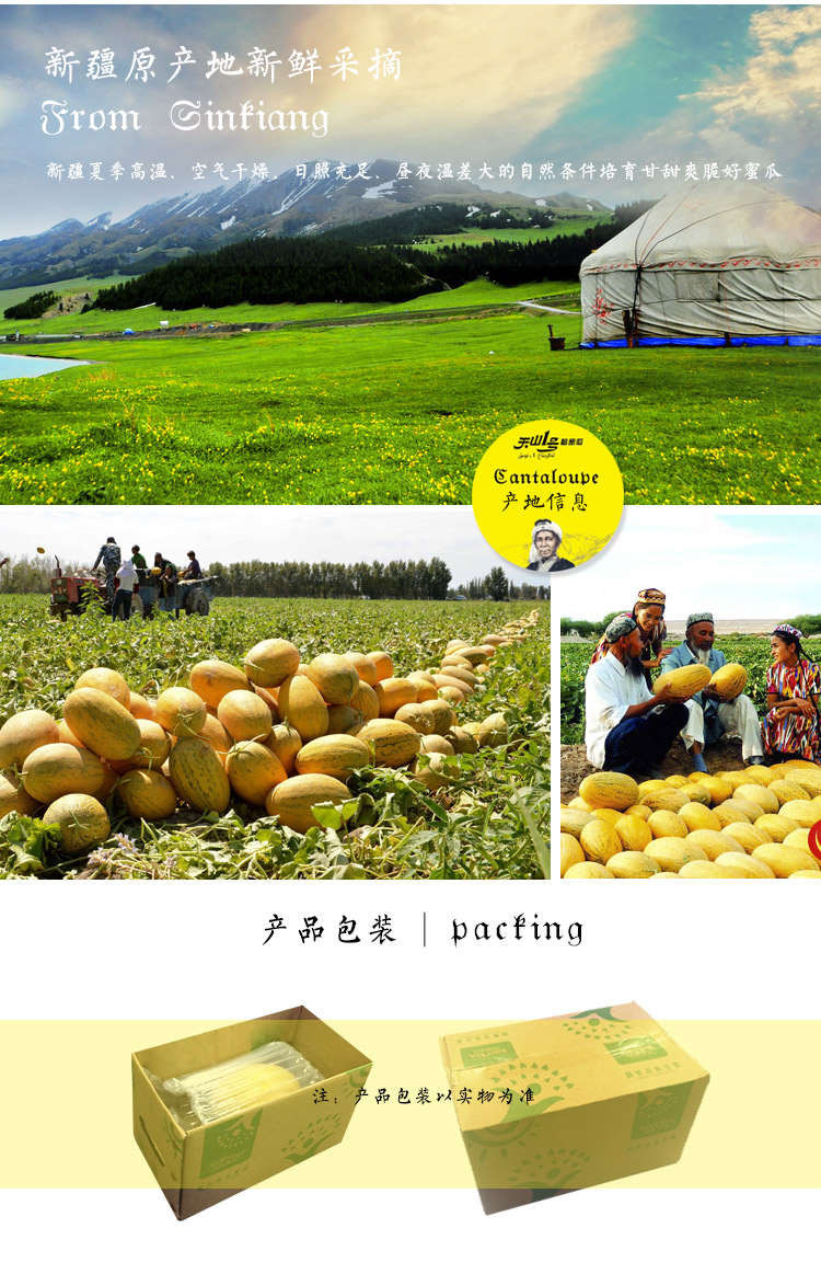 欢乐果园joytree新疆天山一号皇室密瓜1个简装单果重12kg起黄皮哈密瓜