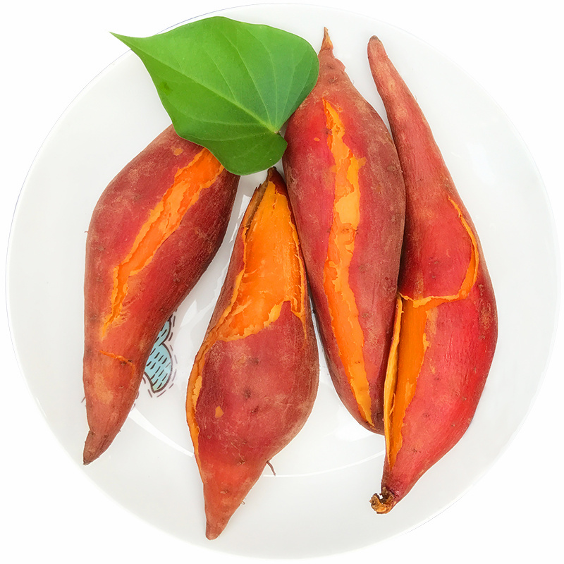 六鳌红薯 5斤 蜜薯 现挖富硒 地瓜 农家山芋 沙地 新鲜蔬菜 香薯 红心