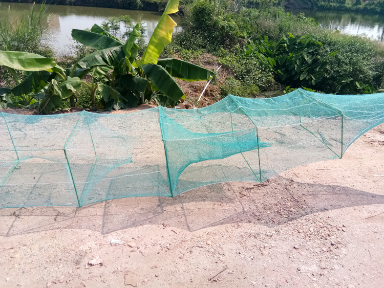 大号鱼笼子5080框架20米长龙虾网自动捕鱼笼加粗有结网眼渔网笼