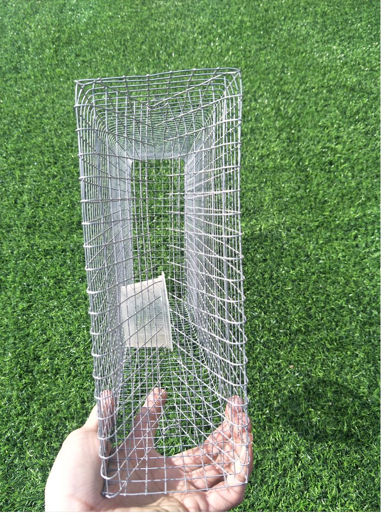 鼎立(dingli) 蛇笼捕蛇笼子笼子蛇笼蛇网蛇网袋捉蛇笼子捕蛇笼捕蛇器