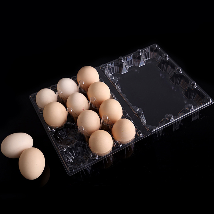 硕普(supple)收纳用品 鸡蛋包装盒12枚装中号塑料盒草鸡蛋笨鸡蛋包装