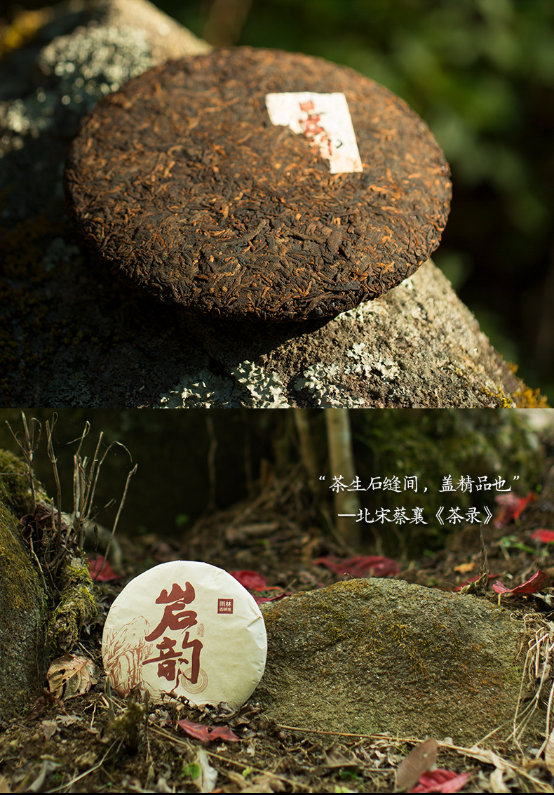 雨林古茶坊黑茶 【买4送1同款】雨林古树茶 2018年岩韵 普洱熟茶 饼茶