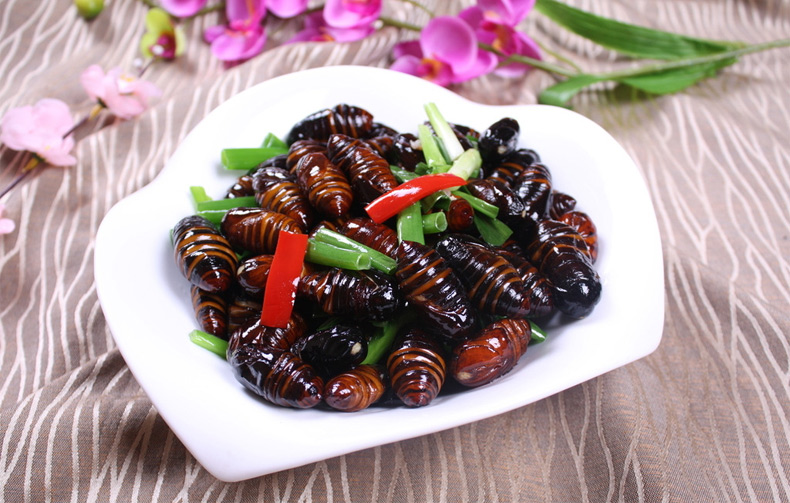 渔鼎鲜东北特产新鲜蚕蛹350g柞蚕蛹二黄大茧蛹生鲜海鲜水产