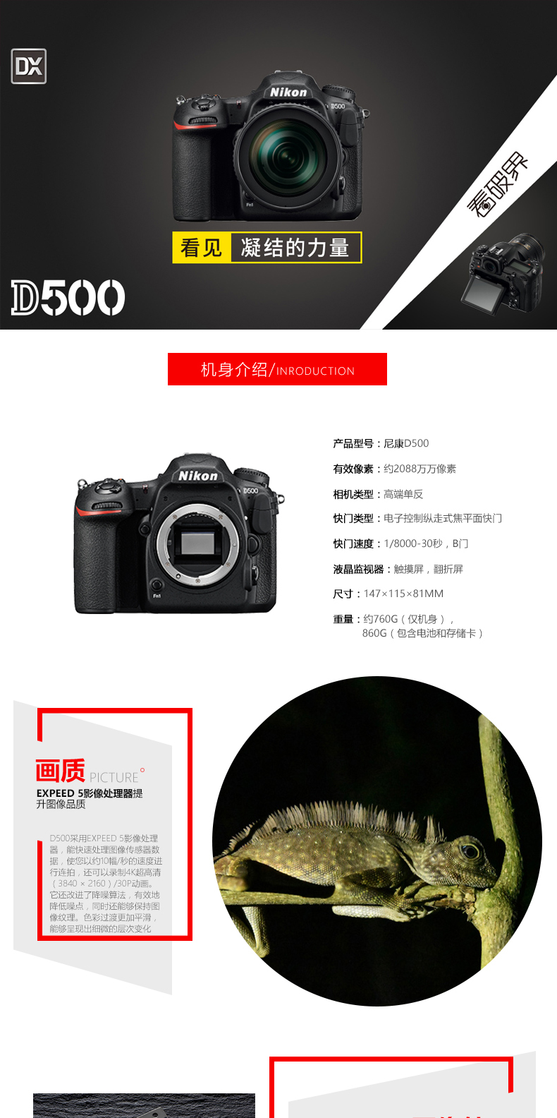 尼康数码单反相机d500机身