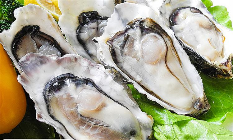 金御丰海鲜韩国进口野生鲜活即食生蚝韩国新真蚝活鲜约125g150g只10只