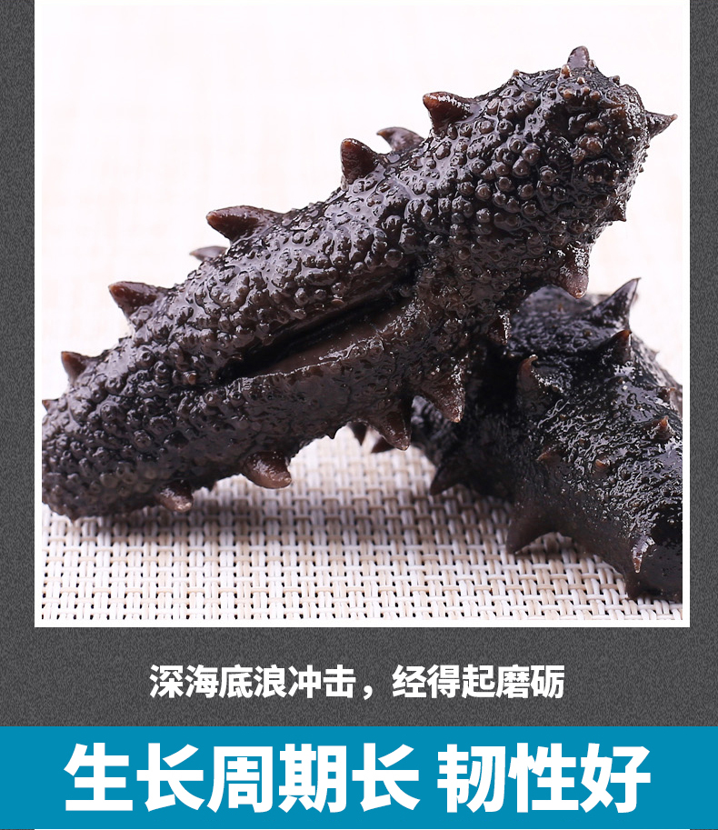 海洋岛大连野生海参盐渍辽参拉缸
