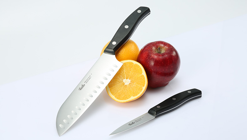 菲仕乐（fissler）刀具套组 精致系列TZ00000053 日式多用刀水果刀去皮刀 2件组