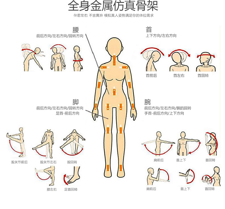 哥特恩非充气真人版实体娃娃性用品3d立体倒模实体娃娃