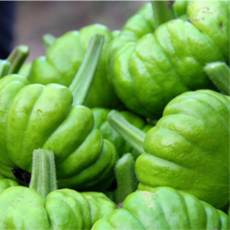 农聚源姜饼瓜5斤姜柄瓜小绿瓜小南瓜新鲜蔬菜产发qq