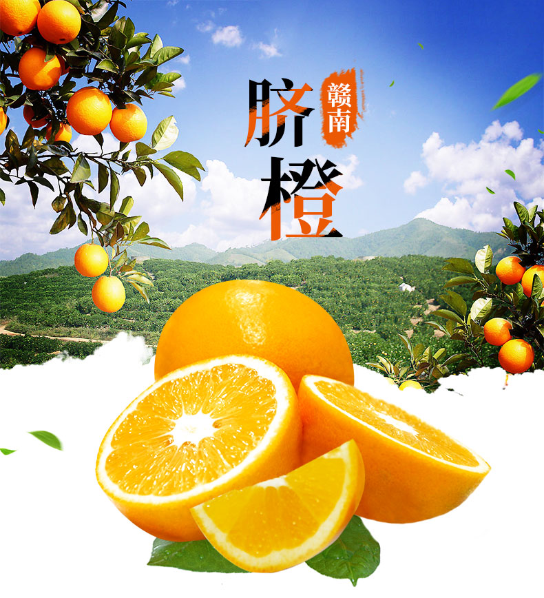 中国脐橙哪个品牌好(脐橙著名品牌)