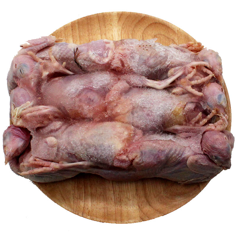 博多客 博多客 新鲜鹌鹑肉18只 精品 农家白条 生鲜 活鹌鹑肉 烧烤