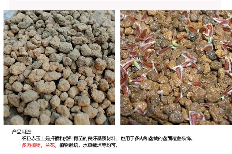 津沽园艺 Jinguyuanyi 园艺用品津沽园艺赤玉土小粒多肉植物兰花用土营养土2l装保水性好 价格图片品牌报价 苏宁易购津沽园艺旗舰店