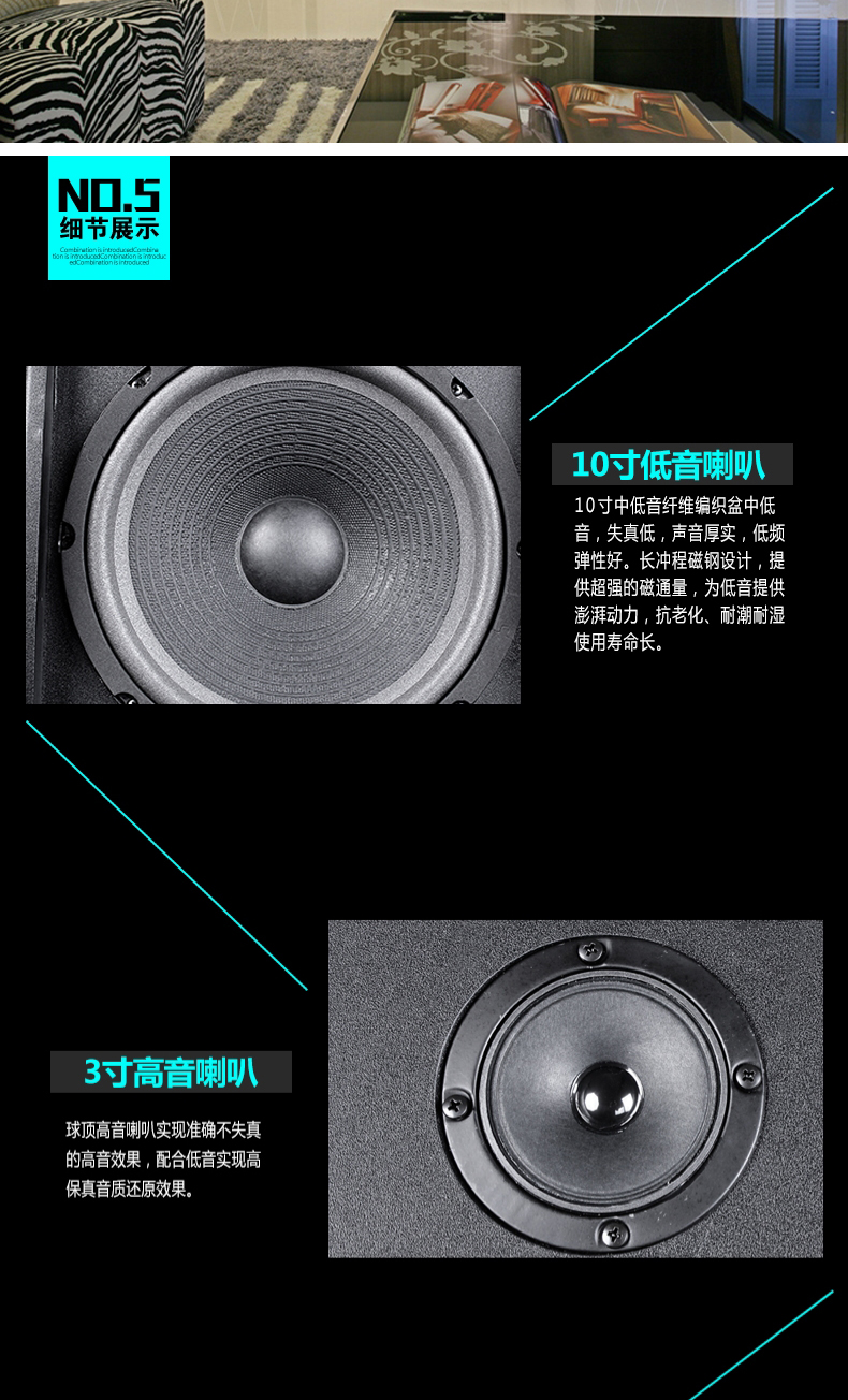 sast先科v8s家庭高清ktv点歌机音响套装v6卡拉ok家用音响10寸音箱点歌