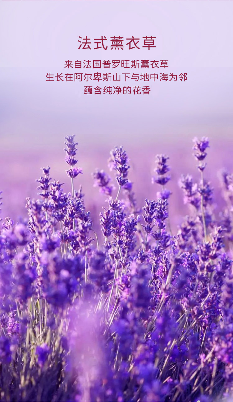 冷酸灵极花语双重抗敏牙膏套装浪漫花漾清新樱花玫瑰蜜桃薰衣草3支装