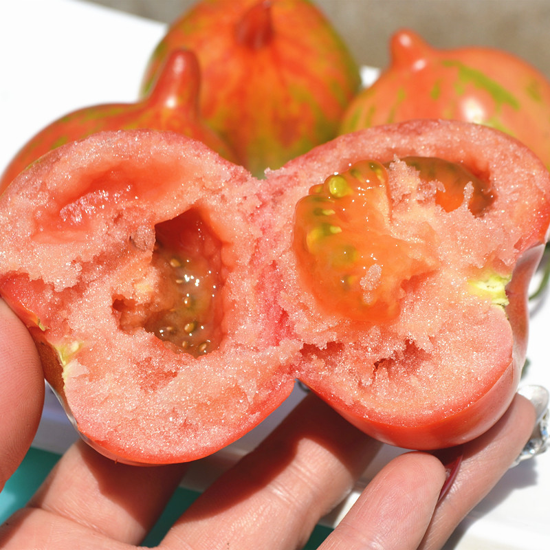 博多客叶菜类 东北花皮球柿子 东北特产 新鲜水果 农家小柿子 小番茄