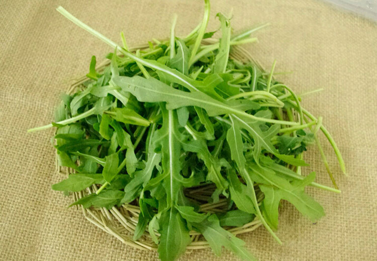 芝麻菜500g火箭菜色拉沙拉新鲜蔬菜